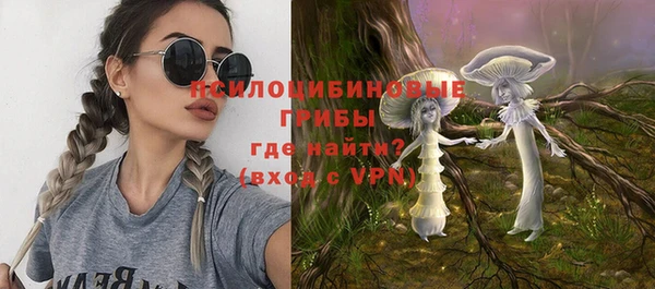 спиды Вяземский