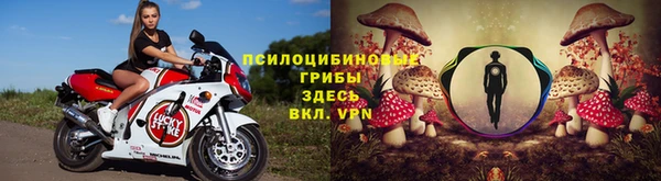 прущие крисы Михайлов