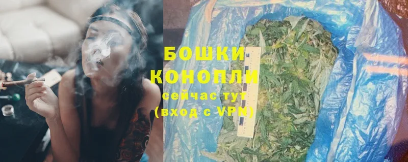 Каннабис OG Kush  Киржач 